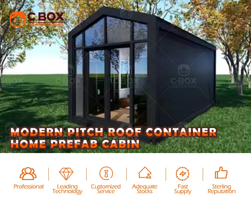 ‌modern pitch roof container home