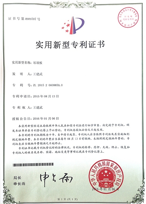 New Patent Certificate